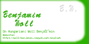 benjamin woll business card